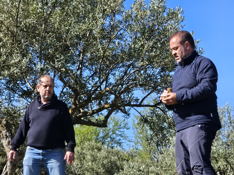 Representación de la Pasión Viviente de Iriépal en Guadalajara. Fotografia de Ensayo General 